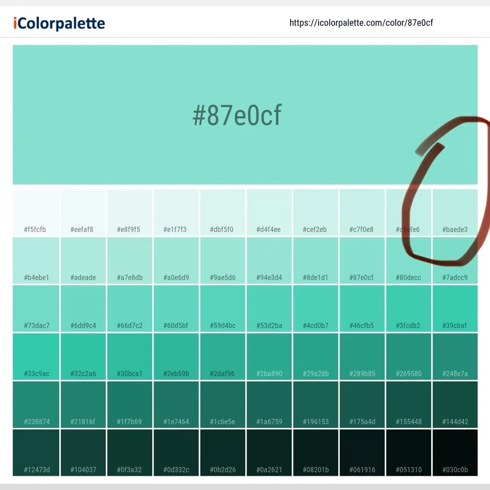 Free People Olivia Henley Tunic Top - Picture 7 of 8